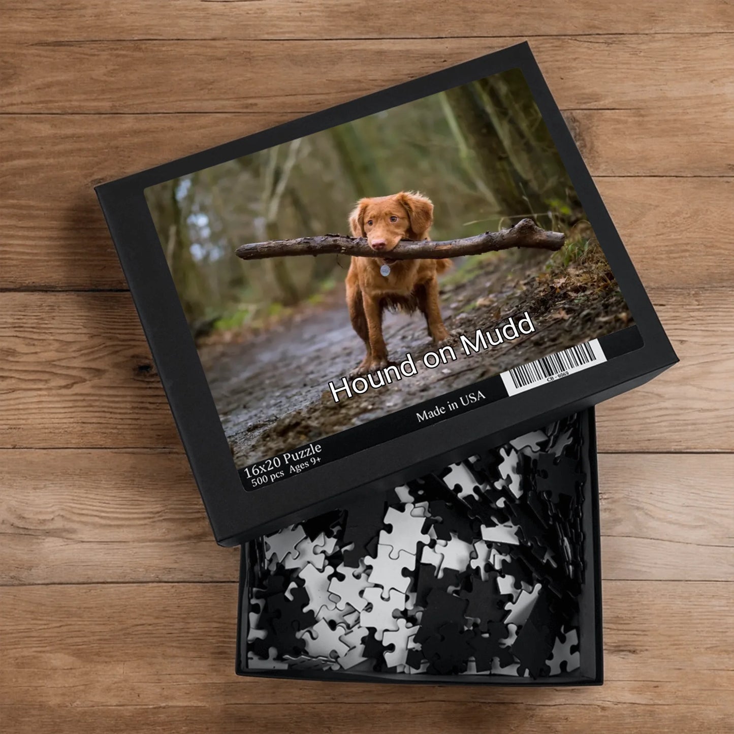 16x20 3